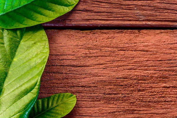 Lehký listový na staré dřevo — Stock fotografie