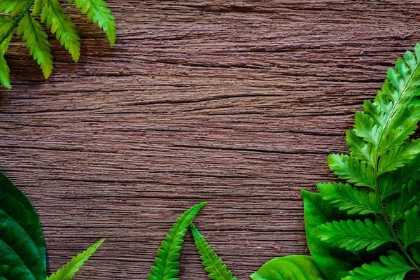 Green leaf on old wood texture — Stock Photo, Image