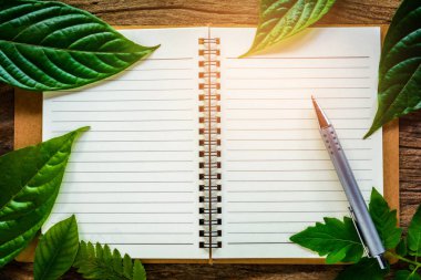 kalem ve yeşil yapraklar üstünde defter