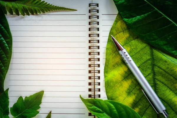 Penna och gröna löv på anteckningsboken — Stockfoto