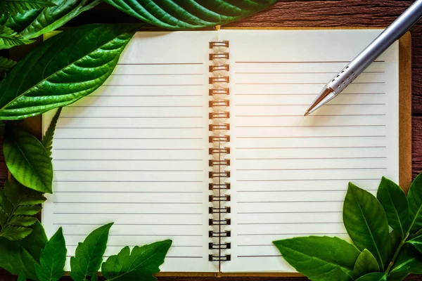 Caneta e folhas verdes no caderno — Fotografia de Stock