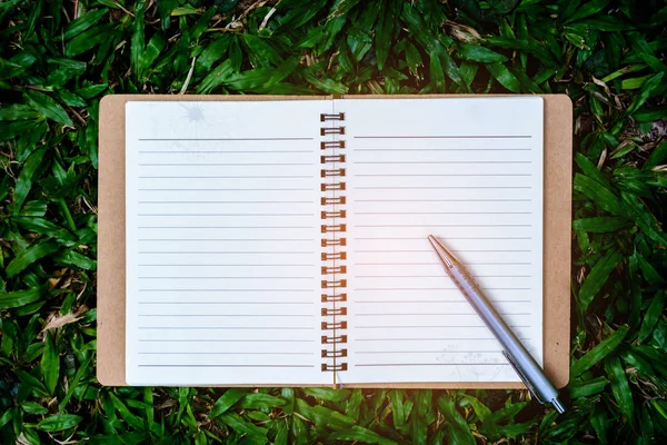 Penna och bok på gräs — Stockfoto