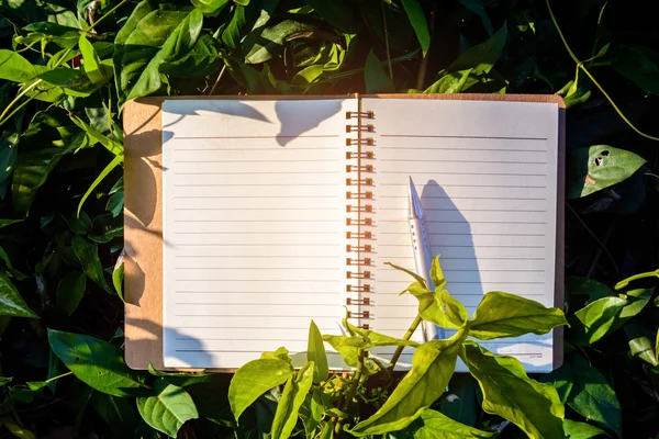 Lápiz y hojas verdes en el cuaderno —  Fotos de Stock