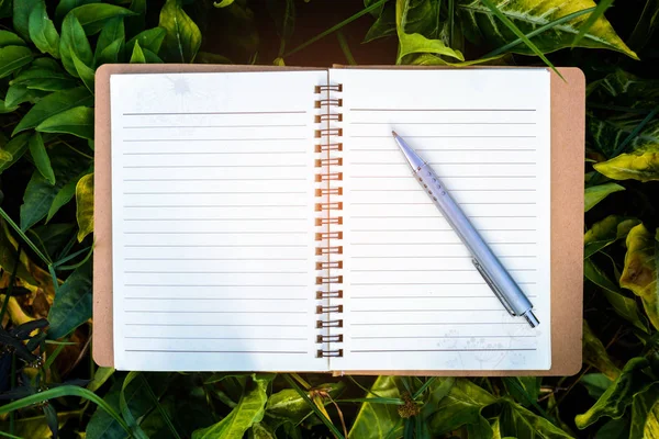 Penna och gröna löv på anteckningsboken — Stockfoto