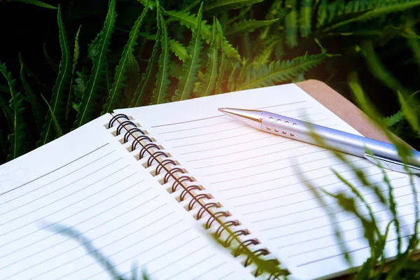 Pióro i zielonych liści na notebooku — Zdjęcie stockowe
