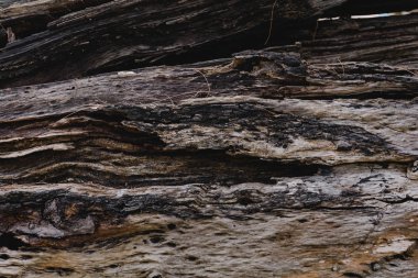 Ahşap desen ve arka plan