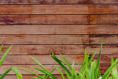 Ahşap desen ve arka plan