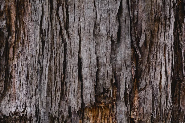 Wood pattern and background — Stock Photo, Image