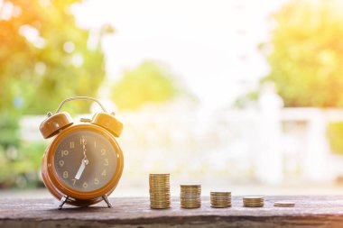 Gümüş sikke büyüyen ve para adım kaydetme başarılı