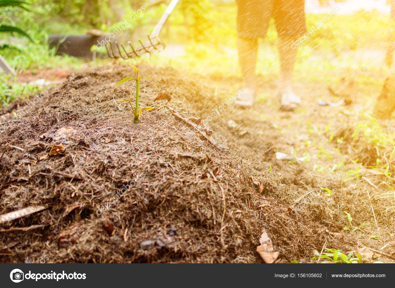 Close up fertilizer farming Stock Photo by ©life_killer_2030@hotmail.com 156105602