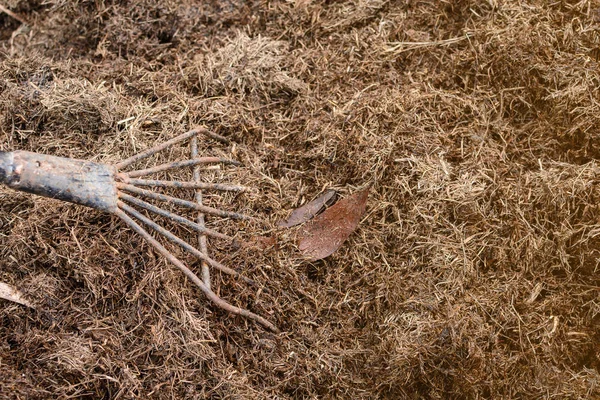 Bodendünger aus nächster Nähe Ökolandbau Natur — Stockfoto