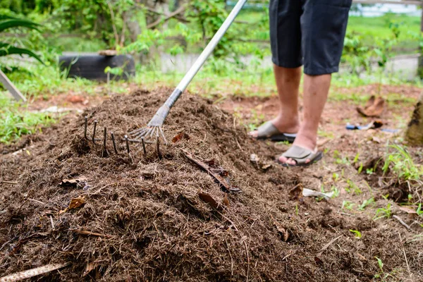 close up soil fertilizer Organic farming nature