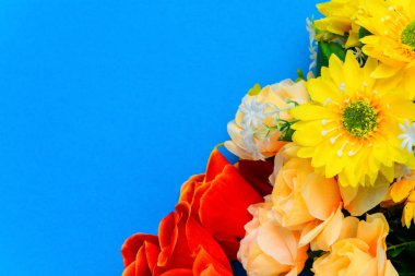 Renkli kağıda düz yatıyordu taze çiçekler