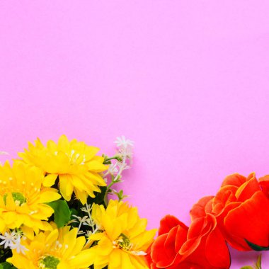 Renkli kağıda düz yatıyordu taze çiçekler