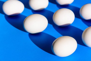 Beyaz ve parlak siyah mavi kağıt üzerinde ham ördek yumurta 