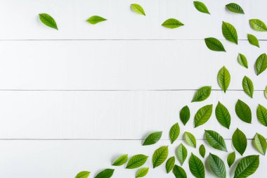 Beyaz ahşap zemin üzerinde yatıyordu düz yaprak yeşil 