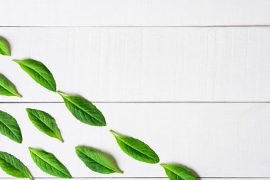 Beyaz ahşap zemin üzerinde yatıyordu düz yaprak yeşil