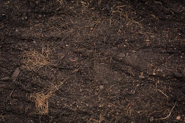 Textura y fondo del suelo negro — Foto de Stock