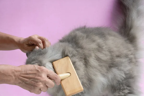 Кисть расческу кошачий мех на деревянный стол — стоковое фото