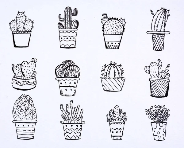 Diseño de cactus doodle — Foto de Stock