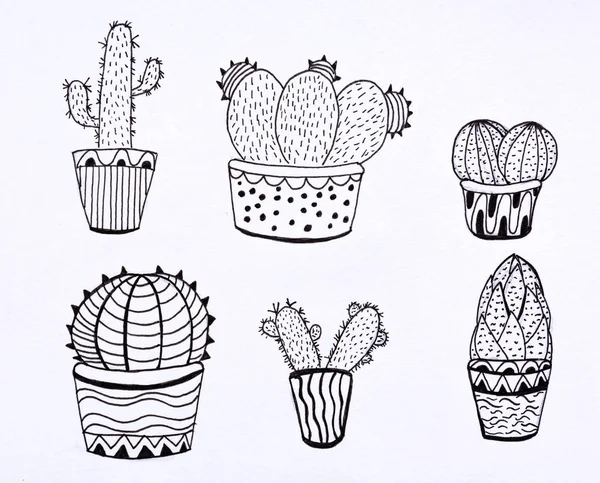 Diseño de cactus doodle — Foto de Stock
