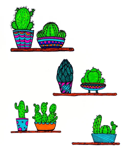 Diseño de cactus doodle — Foto de Stock