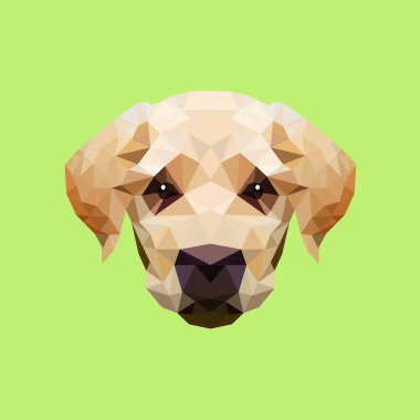 poligonal tarzı ile hisse senedi vektör dogâ €™ s yüz