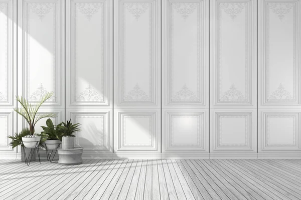 3D-Rendering leeren weißen klassischen Raum mit schönen Wandpaneel und Pflanzen und Holzboden — Stockfoto