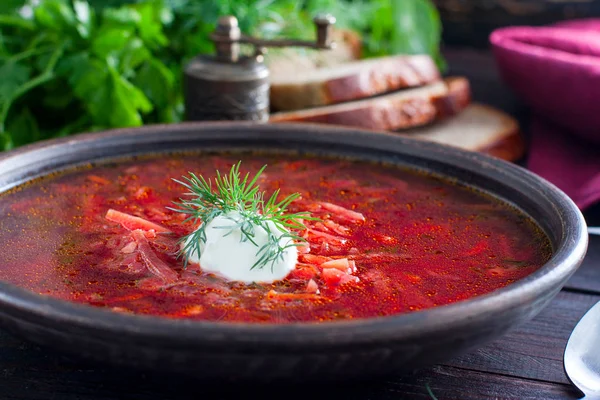 Geleneksel Ukrayna çorba - borsch, yatay