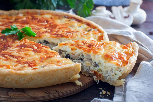 Zelfgemaakte snack pie met kip en kaas, horizontale — Stockfoto