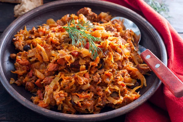 Bigos, un plato tradicional polaco con col, horizontal — Foto de Stock