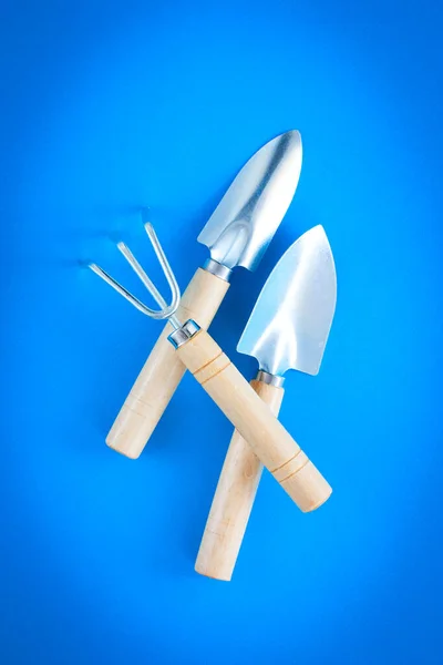 Indoor garden tools on a blue background, selective focus