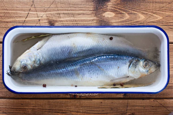 Step-by-step preparation of salted herring, step 4 - salting of fresh fish in a brine with spices, top view, selective focus — Stock Image Step Step Preparation Salted Herring Step Salting Fresh Fish Brine Royalty Free Stock Photos