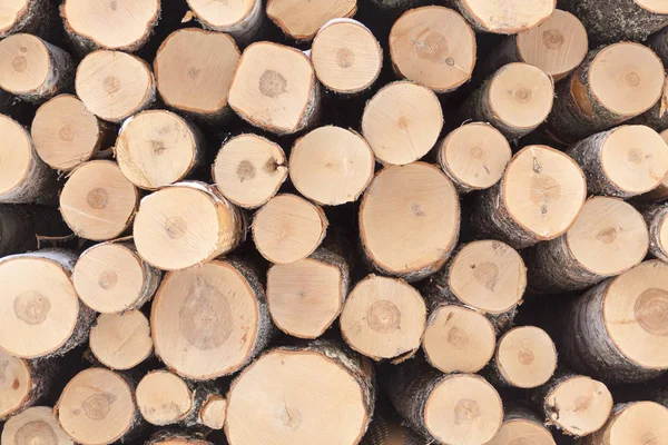 Una pila de troncos Imagen De Stock