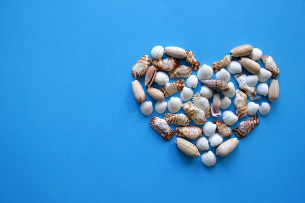 Un corazón de conchas marinas en el fondo azul para el Día de San Valentín . — Foto de Stock