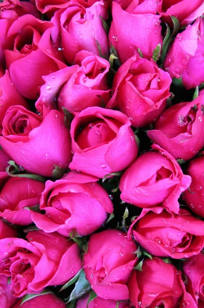 Розовые розы в букетах на цветочном рынке . — стоковое фото