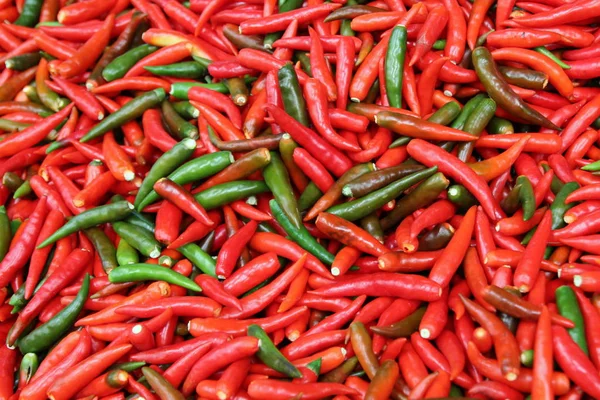 The red and green chili peppers on the market. — Stock Photo, Image