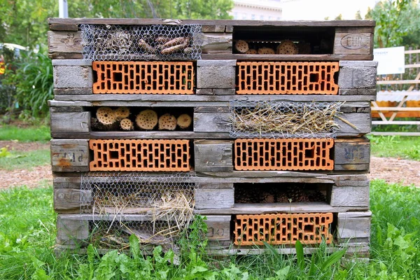 Un elemento de ecodiseño paisajístico en un parque . — Foto de Stock