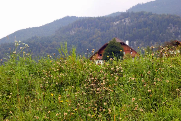 Den gröna ängen med husen i bergen. — Stockfoto