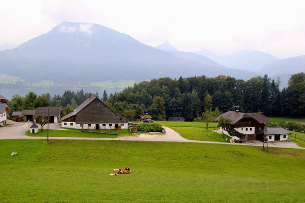 A vista sobre o prado verde com as vacas, com as casas, um lago e as montanhas no fundo . — Fotografia de Stock