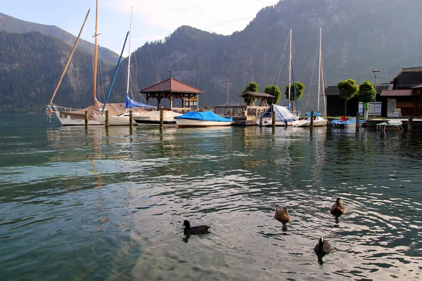 Los patos en el lago con las montañas y los barcos en el fondo en el día soleado . —  Fotos de Stock