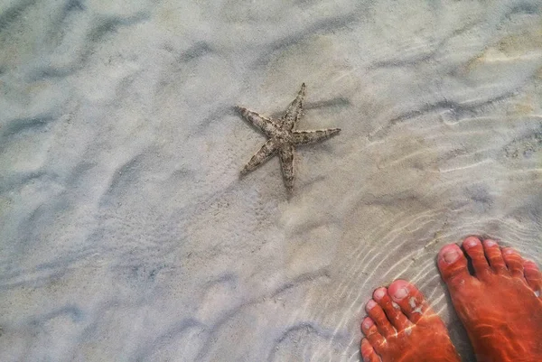 Морская звезда на песке под волнами моря . — стоковое фото
