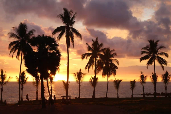 Viaje a la isla Koh Lanta, Tailandia. Palmeras en el fondo de la colorida puesta de sol en una playa . — Foto de Stock
