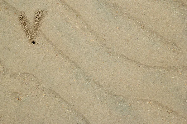 Utazás, Phi Phi, Thaiföld-sziget. A nyomok a rákok, a homokos strand. — Stock Fotó