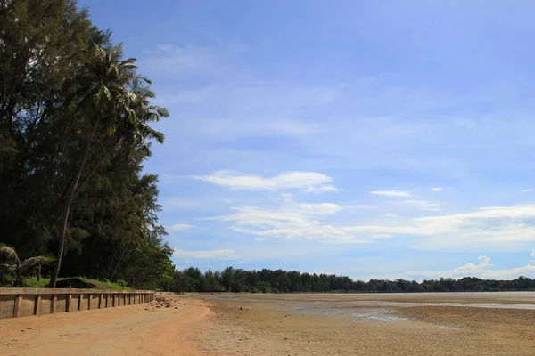 Cestovat na ostrov Koh Lanta, Thajsko. Pohled na písčité pláži s palmami a stopy krabů za slunečného dne. — Stock fotografie