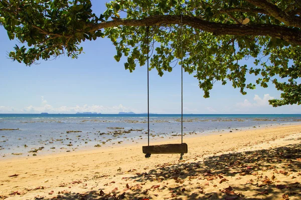 El columpio bajo el árbol en la playa de arena cerca del mar . — Foto de Stock