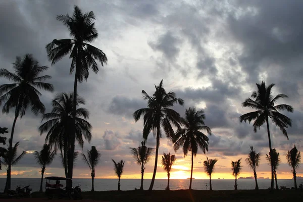 Пальмы на фоне красочного заката и облачного неба на пляже . — стоковое фото