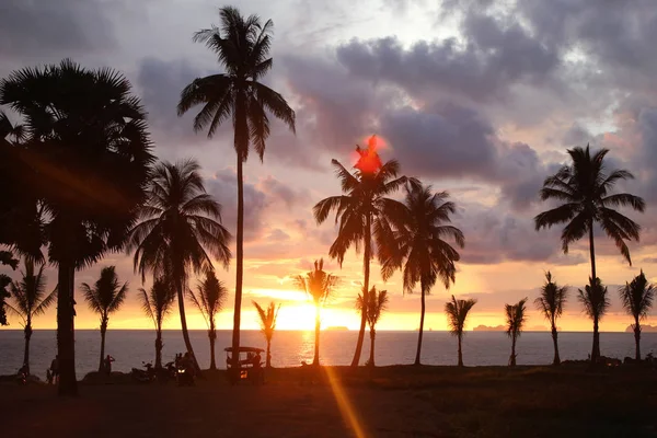 Palmeras en el fondo del colorido atardecer y el cielo nublado . — Foto de Stock