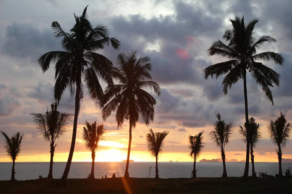 Palmeras en el fondo del colorido atardecer y cielo nublado en una playa . — Foto de Stock