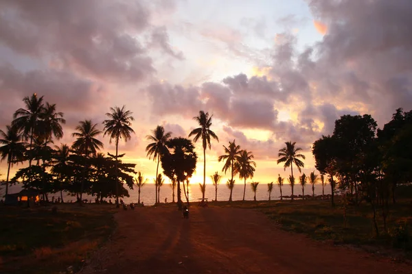 棕榈树的背景五颜六色的日落, 多云的天空和大海. — 图库照片